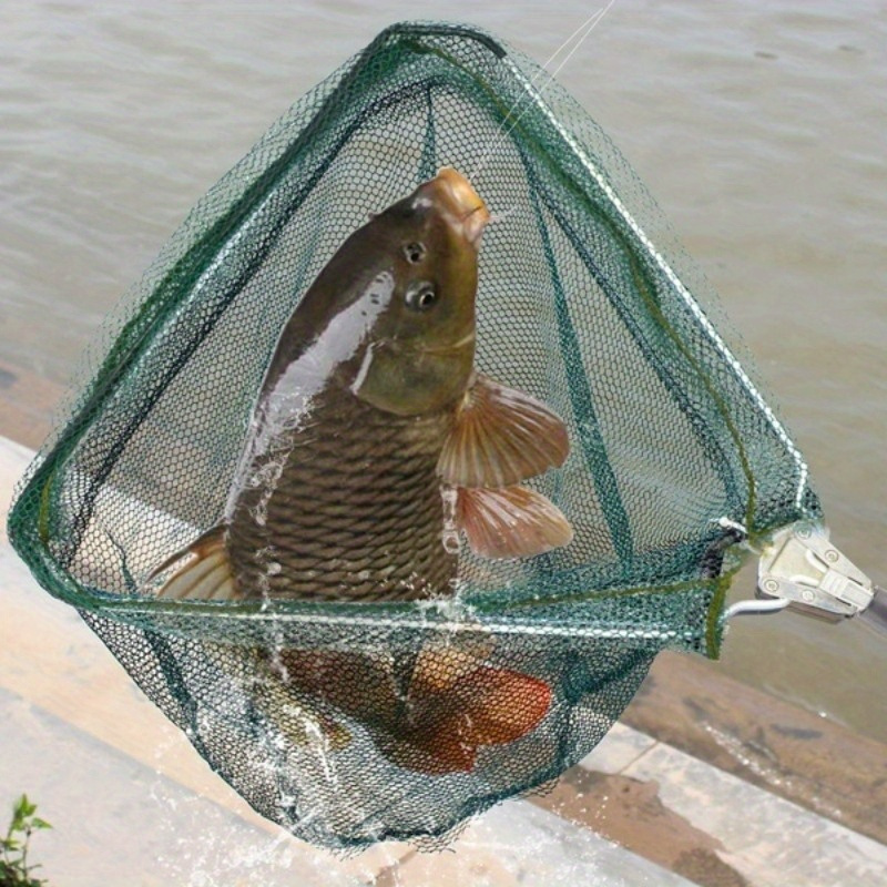 Foldable Triangle Fishing Land - Landing Net Telescopic ulasan dan harga