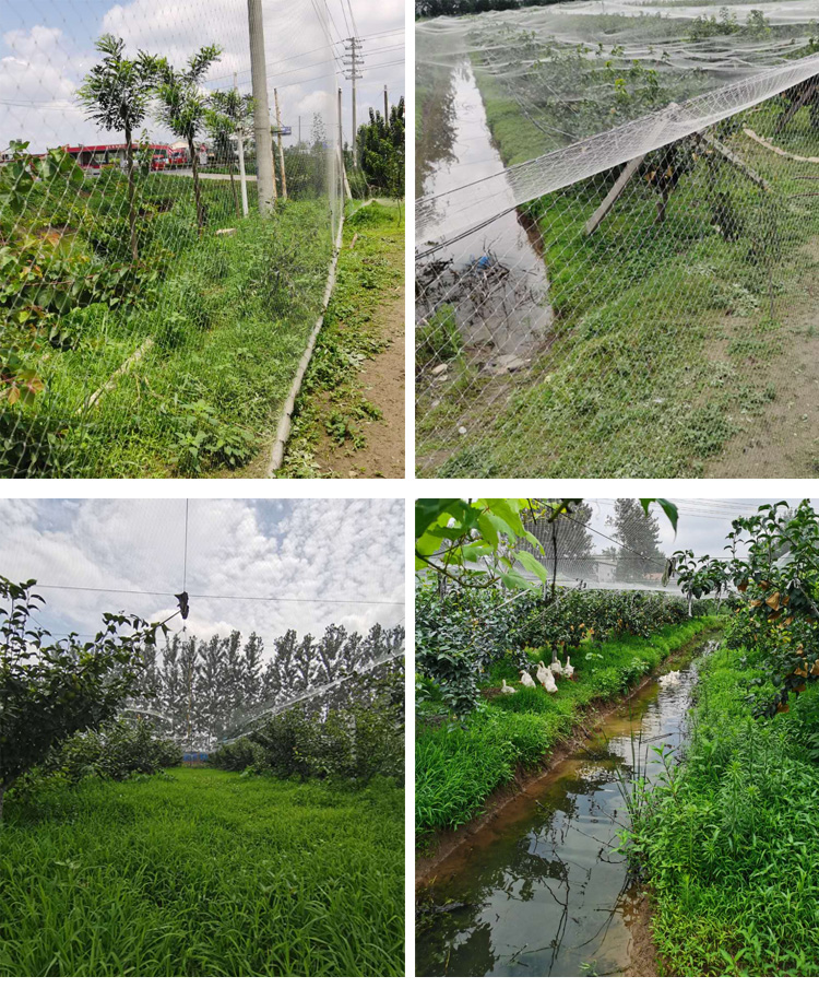 Heavy Duty Nylon Netting, Knot - Fishing Equipment Net ulasan dan harga